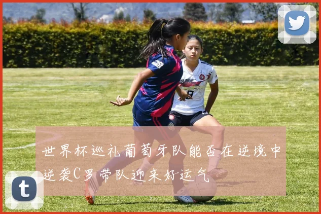 世界杯巡礼葡萄牙队能否在逆境中逆袭C罗带队迎来好运气