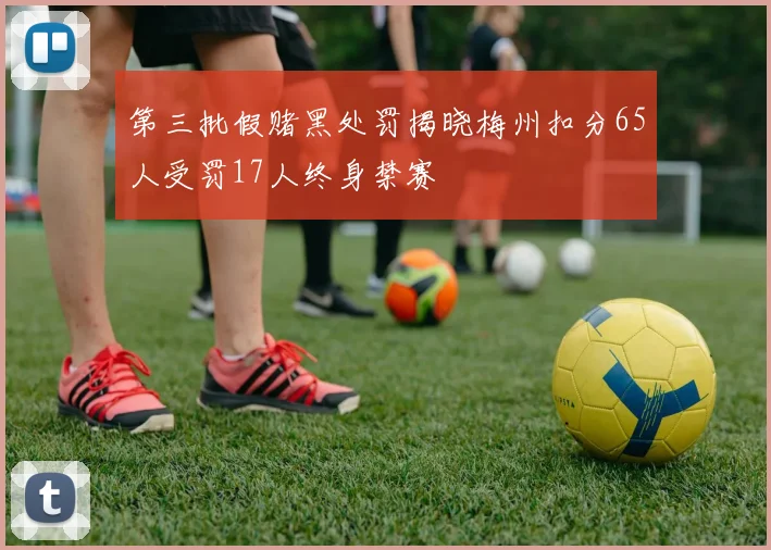 第三批假赌黑处罚揭晓梅州扣分65人受罚17人终身禁赛