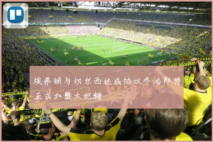 埃弗顿与切尔西达成协议乔治即将正式加盟太妃糖