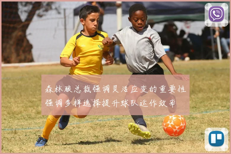 森林狼总裁强调灵活应变的重要性强调多样选择提升球队运作效率